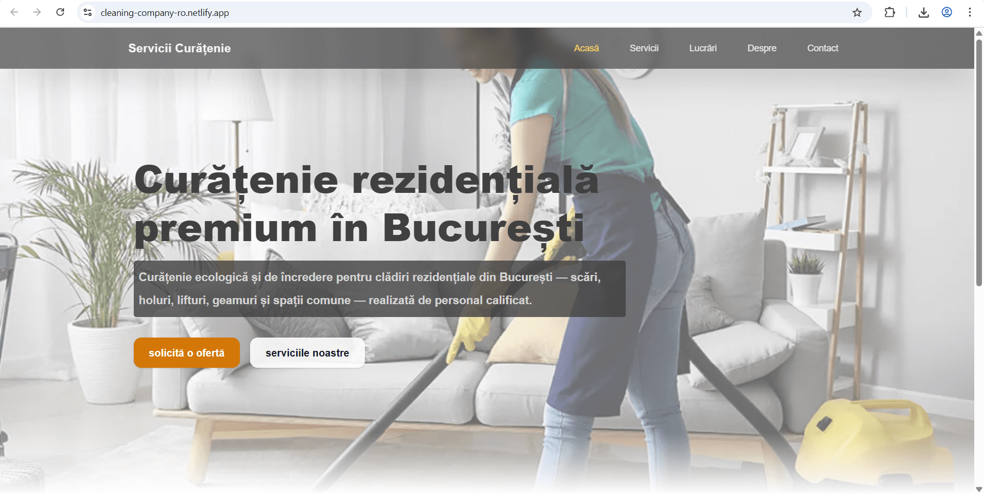 Cleaning Company Landing Page