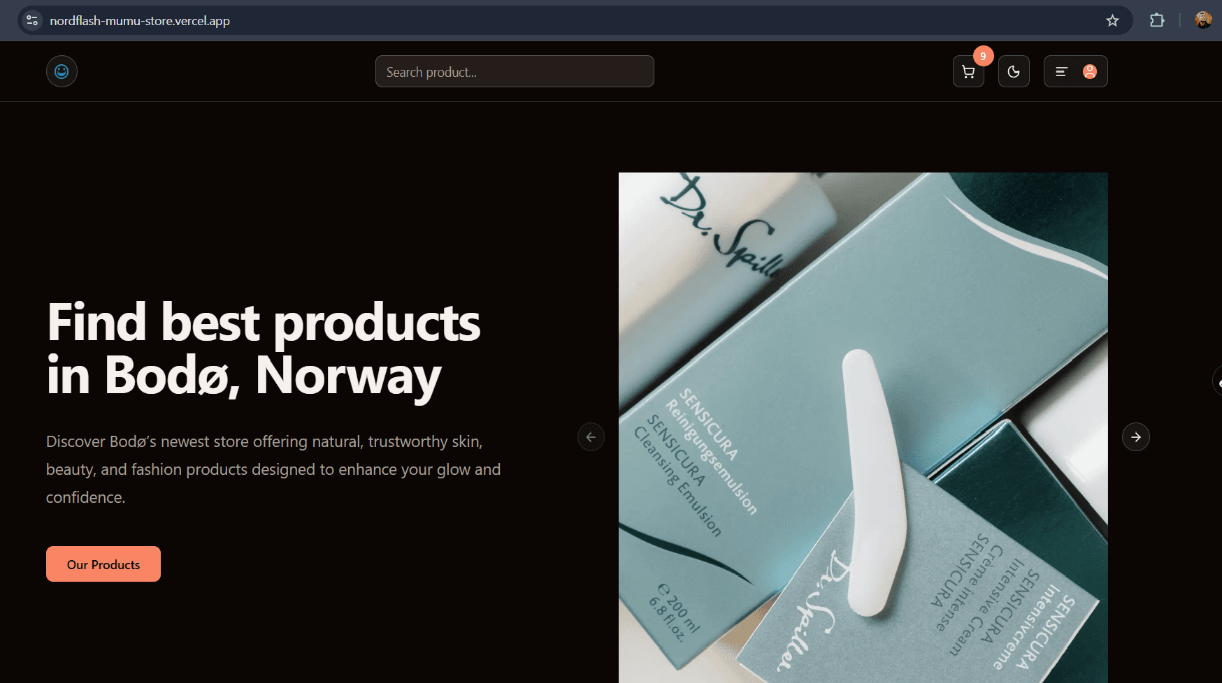Ecommerce Website